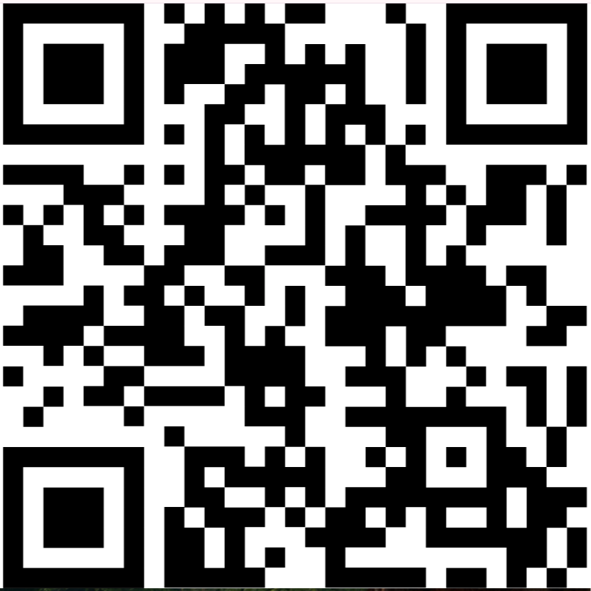 AKA Flower Goes Full Power at CHAMPS Vegas – The Plug Behind the Plug Takes the Stage 74